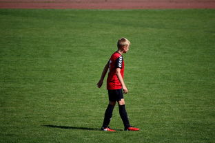 米兰足球官网-国际排联调整赛制 新赛季竞争更激烈，国际排联最新排名  第2张